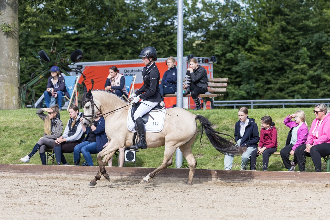 Bild 659 - Pony Akademie Turnier